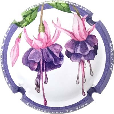 N°114a Contour mauve, N°XXX-120
Photo René COSSEMENT
