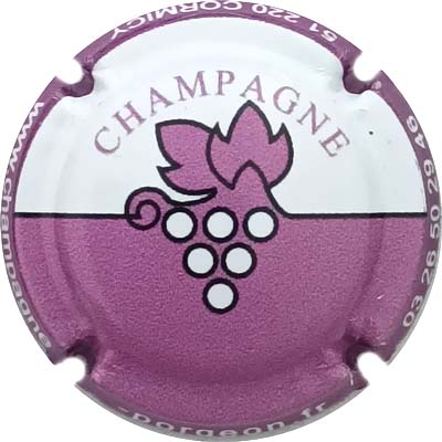 N°11 Blanc et mauve, contour mauve foncé
Photo René COSSEMENT
