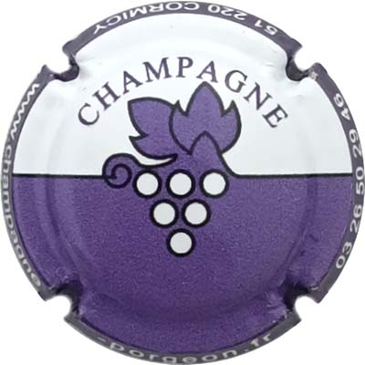 N°11a Blanc et violet, contour violet foncé
Photo René COSSEMENT
