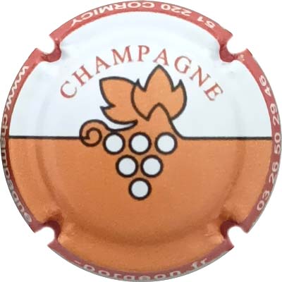 N°11b Blanc et orange, contour orange foncé
Photo René COSSEMENT
