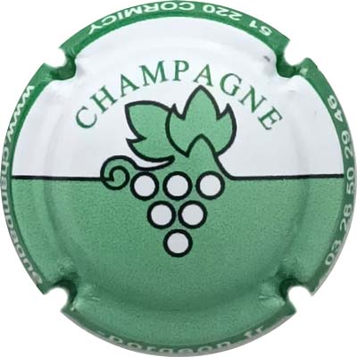 N°11c Blanc et vert pâle, contour vert
Photo René COSSEMENT
