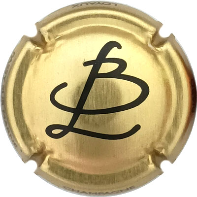 N°13b Or et noir
Photo René COSSEMENT
