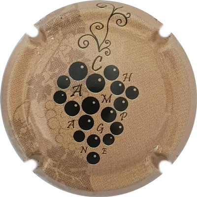 N°1434d Beige foncé et noir
Photo René COSSEMENT
