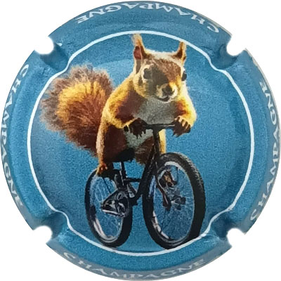 N°1470b Ecureuil
Photo René COSSEMENT
