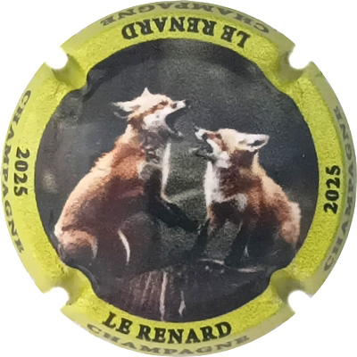 N°1471 Le renard
Photo René COSSEMENT
