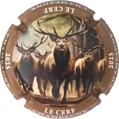 N°1471e Le cerf
Photo René COSSEMENT
