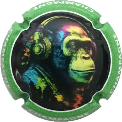 N°1475b Contour vert
Photo René COSSEMENT
