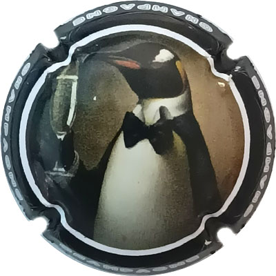 N°1480 Contour noir
Photo René COSSEMENT
