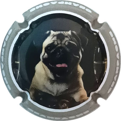 N°1480a Contour gris
Photo René COSSEMENT
