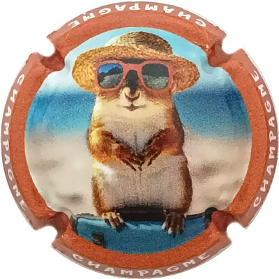 N°1484b Contour orange
Photo René COSSEMENT
