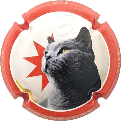 N°1495 Contour orange
Photo René COSSEMENT
