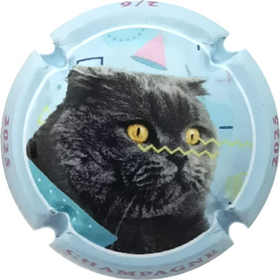 N1495a Contour bleu pâle
Photo René COSSEMENT
