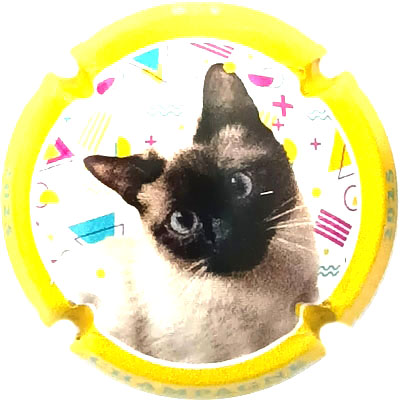 N°1495b Contour jaune
Photo René COSSEMENT
