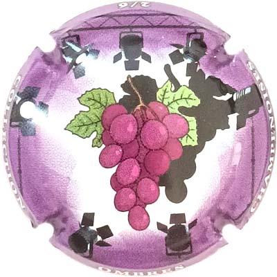 N°1501a Contour violet, 2-6
Photo René COSSEMENT
