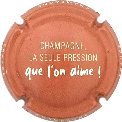 N°1512a Rouge brique et blanc
Photo René COSSEMENT
