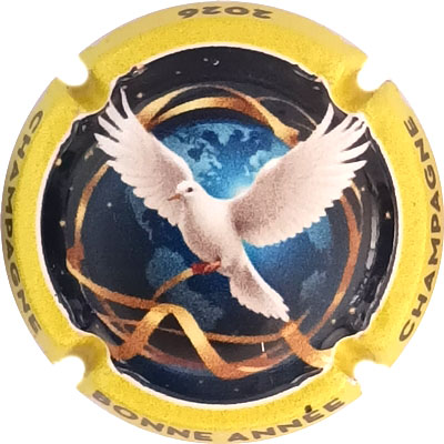 N°1523b Contour jaune
Photo René COSSEMENT
