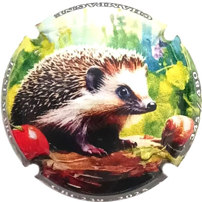 N°170 CBC 239, 2025, N°XXX-480
Photo René COSSEMENT
