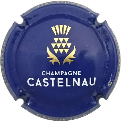 N°18b Bleu foncé, or et blanc
Photo René COSSEMENT
