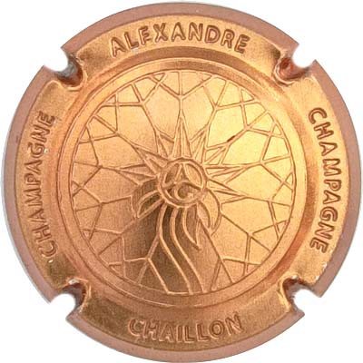 N°01e Estampée, cuivre
Photo René COSSEMENT
