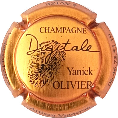 N°01x-nr Or pâle et noir
Photo René COSSEMENT
Mots-clés: NR