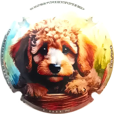 Chien, 18-24
Photo René COSSEMENT
Mots-clés: NR