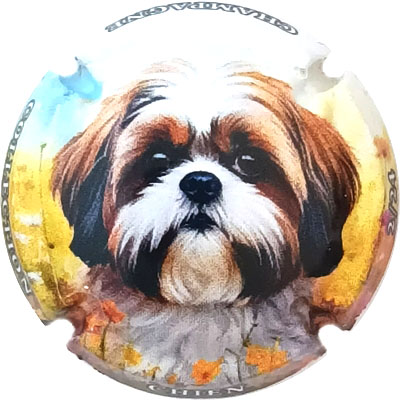 Chien, 02-24
Photo René COSSEMENT
Mots-clés: NR