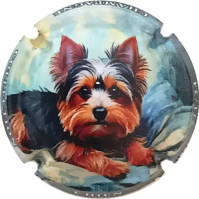 Chien, 21-24
Photo René COSSEMENT
Mots-clés: NR