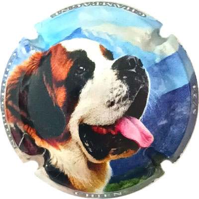 Chien, 05-24
Photo René COSSEMENT
Mots-clés: NR