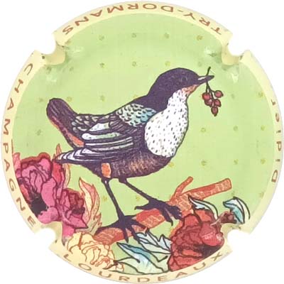 N°26a Contour jaune, mat
Photo René COSSEMENT
