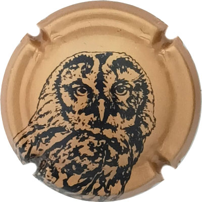 N°26a Ocre métallisé et noir
Photo René COSSEMENT
