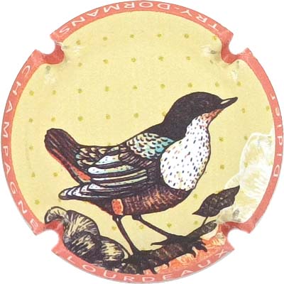 N°26c Contour orange, mat
Photo René COSSEMENT
