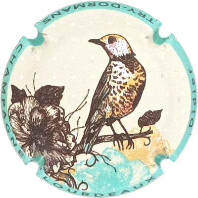 N°26d Contour turquoise
Photo René COSSEMENT
