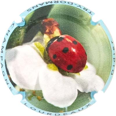 N°28 Contour bleu
Photo René COSSEMENT
