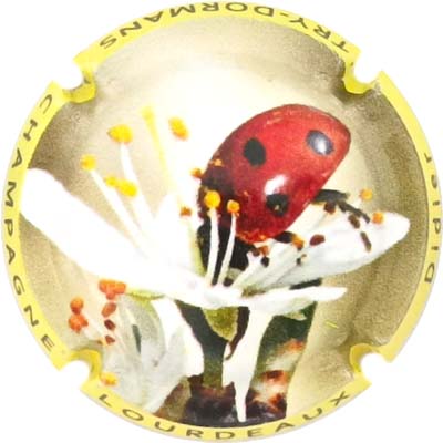 N°28 Contour jaune
Photo René COSSEMENT
