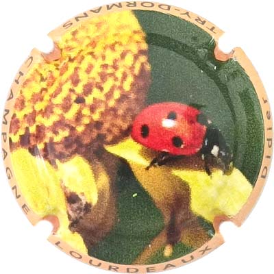 N°28 Contour orange
Photo René COSSEMENT
