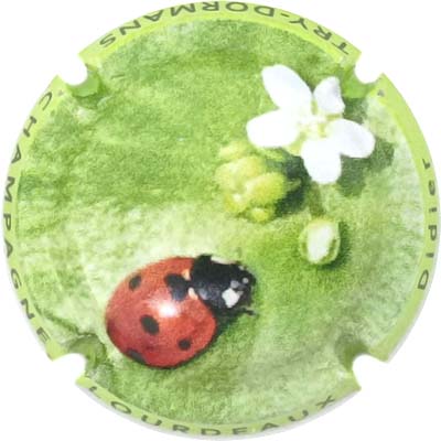 N°28 Contour vert
Photo René COSSEMENT
