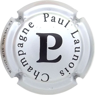 N°02a Argent et noir
Photo René COSSEMENT
