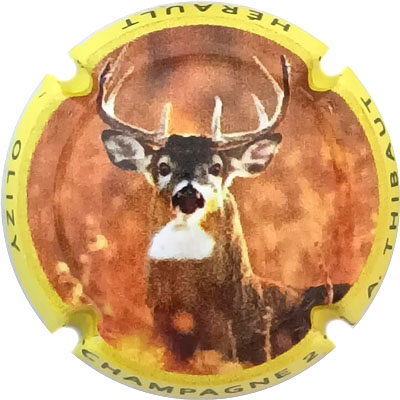 N°02a Contour jaune
Photo René COSSEMENT
