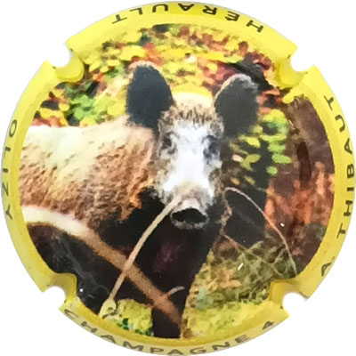 N°02c Contour jaune
Photo René COSSEMENT
