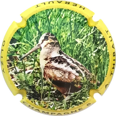 N°02d Contour jaune
Photo René COSSEMENT
