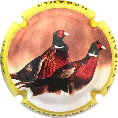 N°02f Contour jaune
Photo René COSSEMENT
