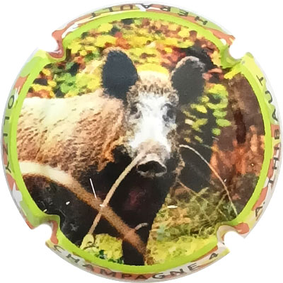 N°02j Contour polychrome
Photo René COSSEMENT
