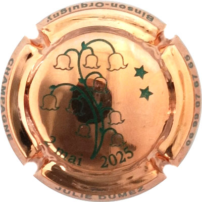 N°30x-nr Plaqué or, 2 mai 2025, N°XX-240
Photo René COSSEMENT
Mots-clés: NR