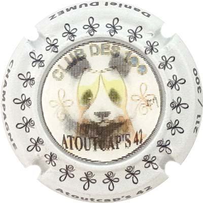 N°31a Holographie, Club des 100, Atout caps, N°XXX-300
Photo René COSSEMENT
