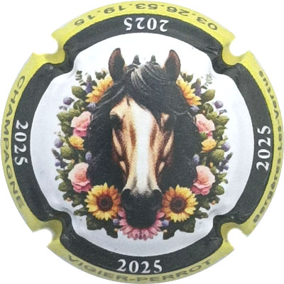 N°31zx-nr Contour jaune, 2025
Photo René COSSEMENT
Mots-clés: NR