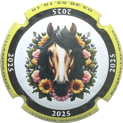 N°31zx-nr Jéroboam, contour jaune, 2025
Photo René COSSEMENT
Mots-clés: NR