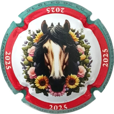 N°31zx Contour turquoise, 2025
Photo René COSSEMENT
Mots-clés: NR