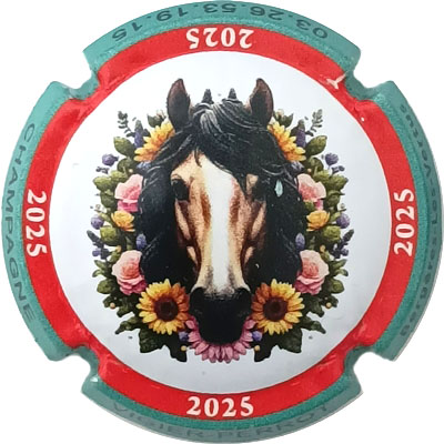 N°31zx Jéroboam, contour turquoise, 2025
Photo René COSSEMENT
Mots-clés: NR