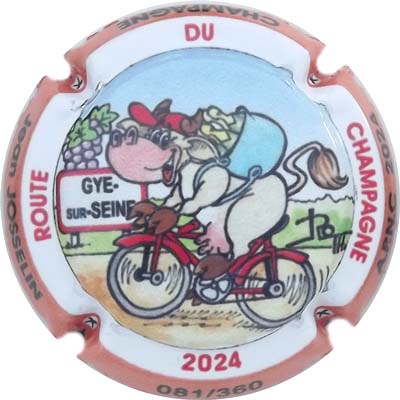 N°38d APNC 2024, Route du Champagne, ctr orange, N°XXX-360
Photo René COSSEMENT
