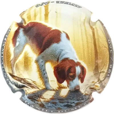 N°39c Polychome, N°XXX-360
Photo René COSSEMENT
